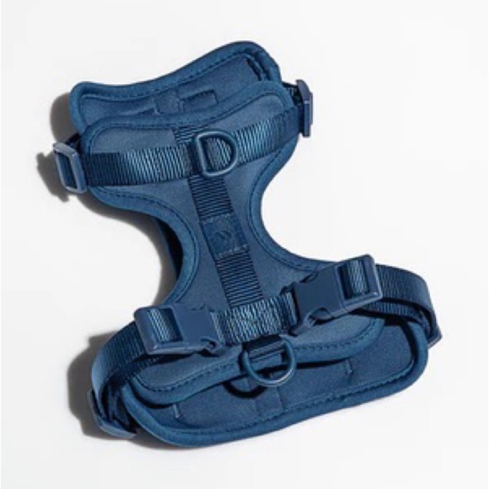 Navy Wild One Harness SMALL